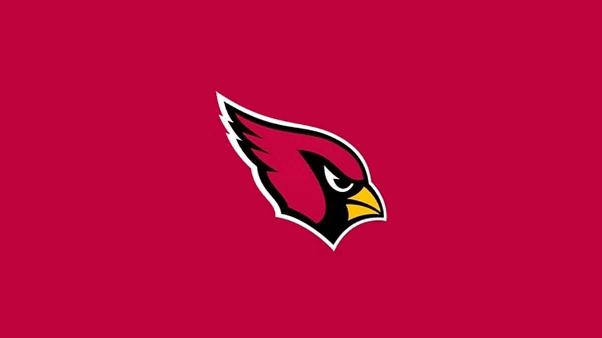 Coaching Breakdown: Arizona Cardinals