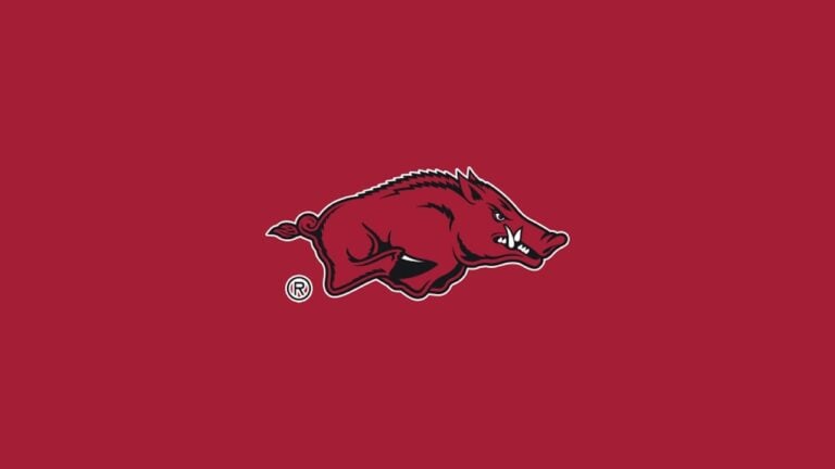 2026 March Madness - Arkansas Razorbacks