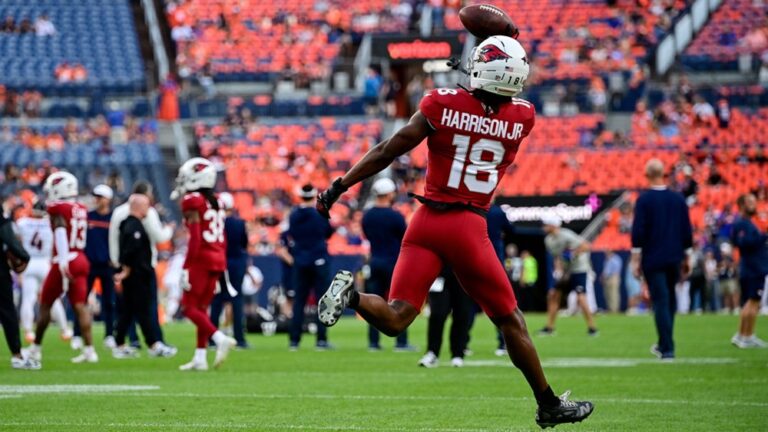 NFL DFS & Betting